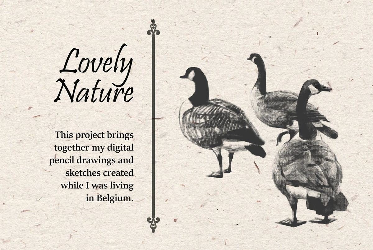 Lovely Nature